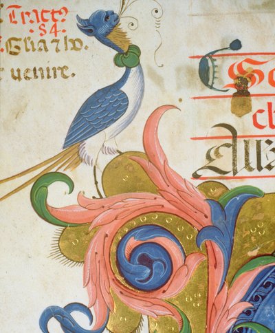 Misal 515 f.28v Pájaro fantástico con cabeza humana (detalle) de Filippo di Matteo Torelli