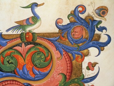 Misal 515 f.92v Follaje zoomórfico con pájaro y mariposa (detalle) de Filippo di Matteo Torelli