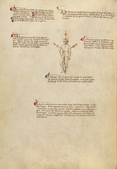 Puntos de mira en el cuerpo de Fiore Furlan dei Liberi da Premariacco