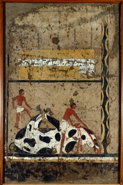 Antigüedades egipcias: un toro es sacrificado ante un sarcófago. Detrempe sobre arcilla y paja de la tumba del General y Canciller del Rey Iti en El Ghebelen cerca de Luxor. 2200-2000 a.C. Turín, Museo Egipcio de First Intermediate Period Egyptian