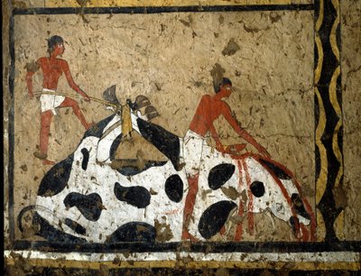 Antigüedad egipcia: un toro es sacrificado ante un sarcófago de First Intermediate Period Egyptian