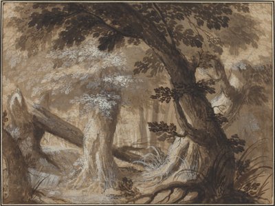 Interior del bosque de Flemish 17th Century