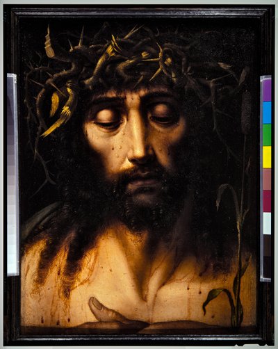 Aquí está Homo de Flemish School