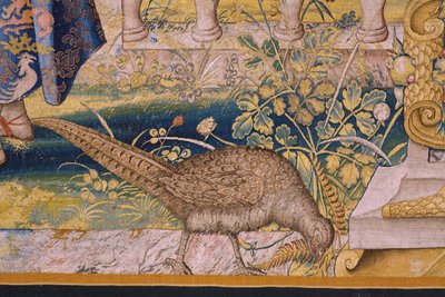 Tapiz flamenco. Serie Vertumnus y Pomona: Vertumnus transformado en granjero (Vertumnus como granjero, Vertumno transformado y agricultor). Estudio Willem de Pannemaker. hacia 1545-1550. Detalle. de Flemish School