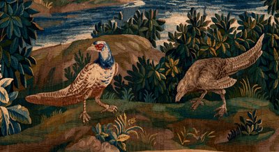 Tapiz flamenco. Llamado Verdure (Paisaje con agua, árboles y faisanes). Taller de Oudenaarde. 277x200cm. Inv 00012. Siglo XVII. de Flemish School