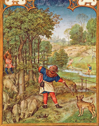 El mes de noviembre: Recolección de bellotas para los cerdos y caza, del Breviarium Grimani, c.1515 de Flemish School