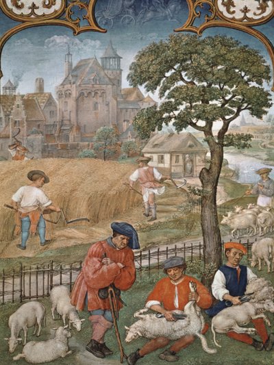 Fol.7v El Mes de Julio: Cosecha y Esquila de Ovejas, del Breviarium Grimani, c.1515 de Flemish School
