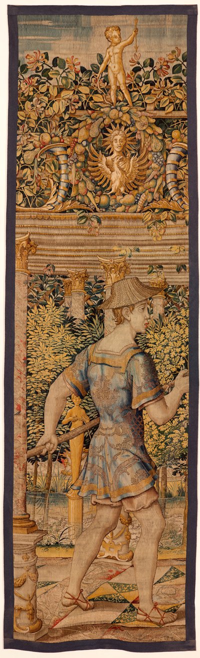 Galería de viñas TA67 2 de Flemish School