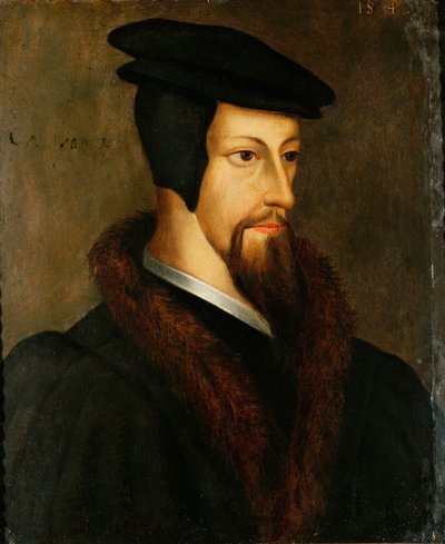 Jean Calvin de joven ... (óleo sobre madera) de Flemish School