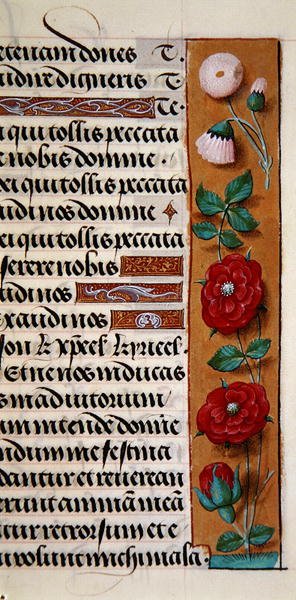 Ms. 1058-1975, f.120r: (detalle) de un borde floral de un Libro de Horas, c.1500 de Flemish School