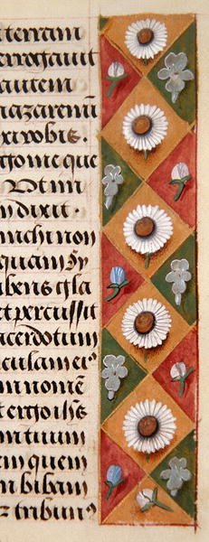 Ms. 1058-1975, f.16r: detalle de un borde floral de un Libro de Horas, c.1500 de Flemish School