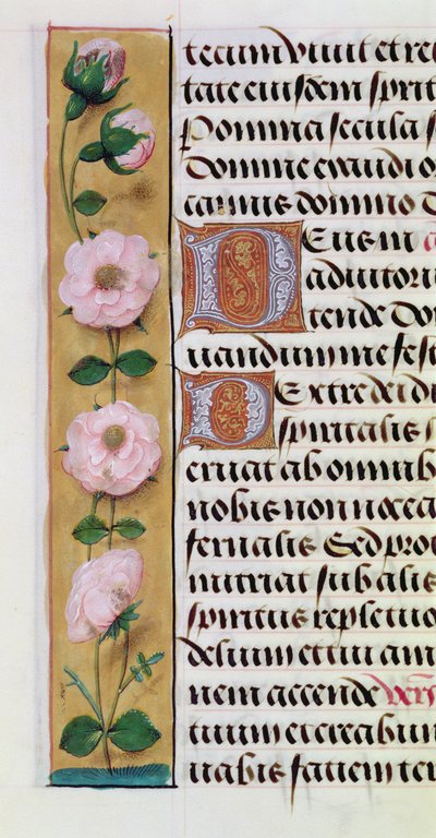 Ms. 1058-1975, f.34v: detalle de un borde floral de un Libro de Horas, c.1500 de Flemish School
