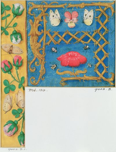 Letra iluminada `A y borde lateral de flores, de un Libro de Horas, c.1500 de Flemish School