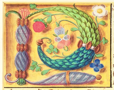 Letra iluminada `P decorada con flores, de un Libro de Horas, c.1500 de Flemish School