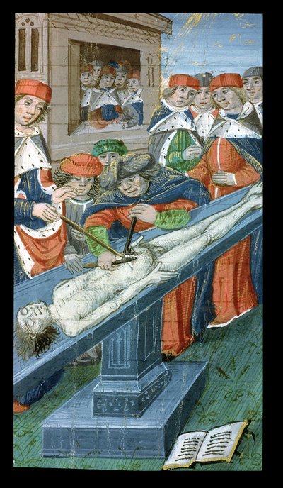 Dissección, de De Medina Fen I. II, de Avicena (980-1037) de Flemish School