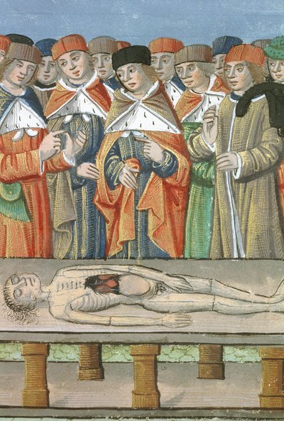 Dissección, de De Medina Fen I. II, de Avicena (980-1037) de Flemish School