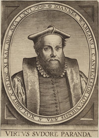Retrato de Jan Wamesius de Flemish School