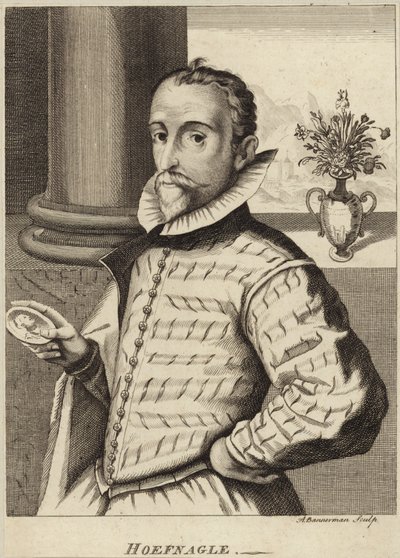 Retrato de Joris Hoefnagel de Flemish School