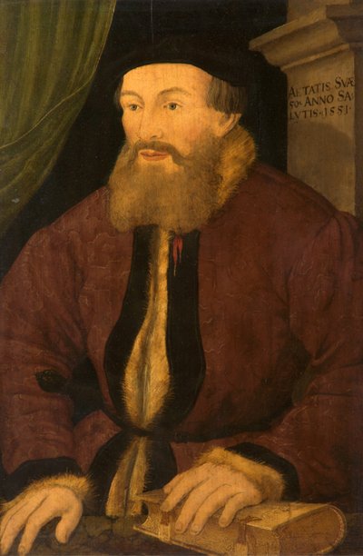 Retrato de un Hombre, 1551 de Flemish School
