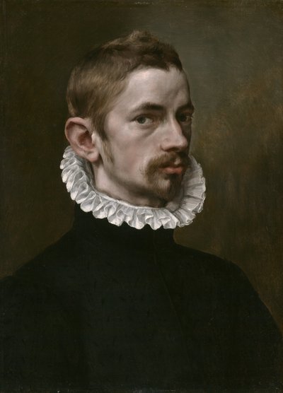 Retrato de un Hombre de Flemish School