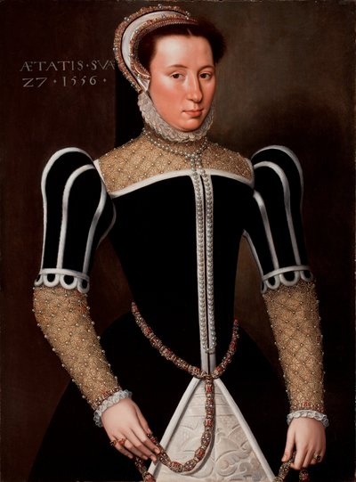 Retrato de una mujer, 1556 de Flemish School