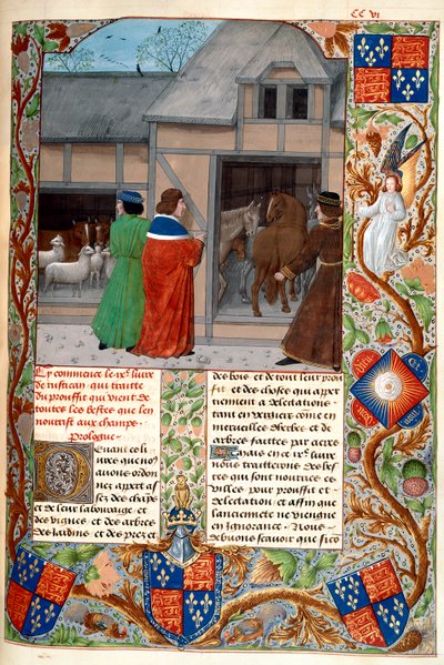 Real 14 E. VI, f.215, Autor con caballos y ovejas, de 