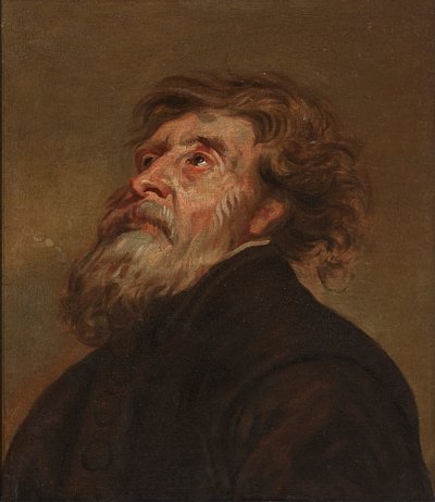 Estudio de un hombre de Flemish School