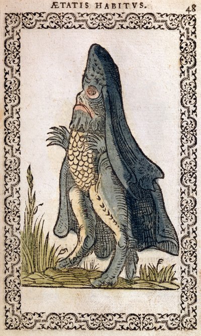 El Obispo del Mar o monstruo marino, ilustración de Omnium fere gentium nostraeque aetatis Nationum Habitus et Effigies de Jean Sluperji, Amberes, 1572 de Flemish School