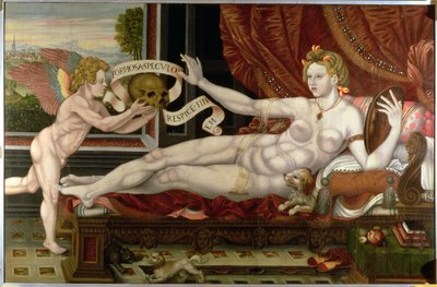 Vanitas de Flemish School