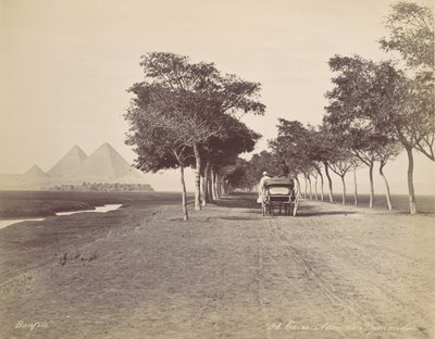 Caire. Allee de Pyramides de Félix Bonfils