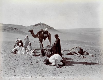 Camelleros egipcios durante una pausa en el desierto. En primer plano, dos miembros del pequeño grupo parecen estar rezando de Félix Bonfils
