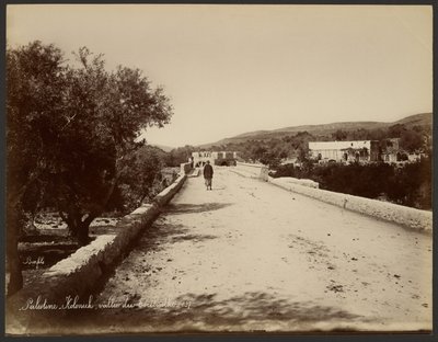 Palestina - Kolonick, Valle del Terebinto de Félix Bonfils
