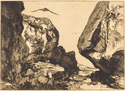 Garganta en las rocas (Gorge dans les rochers) de Félix Bracquemond after Jules Laurens