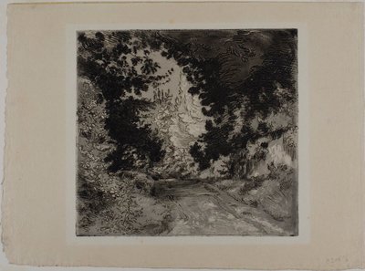 El Chemin de Coutures, en Sèvres de Félix Henri Bracquemond