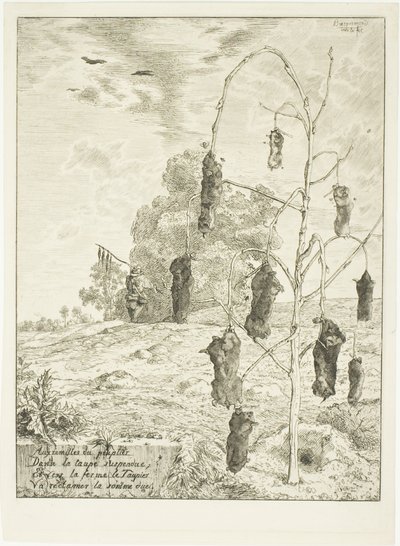 Topos de Félix Henri Bracquemond