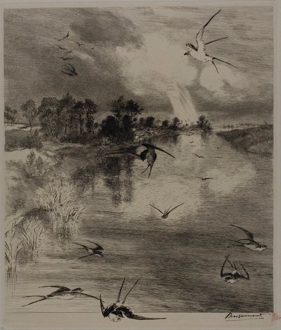 Golondrinas de Félix Henri Bracquemond