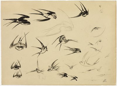 Las golondrinas de Félix Henri Bracquemond