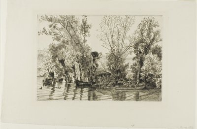 Los sauces de Mottiaux de Félix Henri Bracquemond
