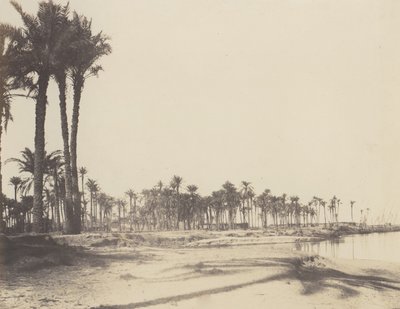 El-Nâcerah, Dattiers, Riberas del Nilo y Barcos, 1851-52, impreso 1853-54 de Félix Teynard