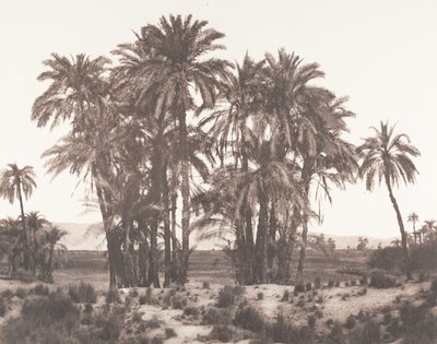 Karnak, Grupo de Dattiers visto desde el punto A, 1851-52, impreso 1853-54 de Félix Teynard