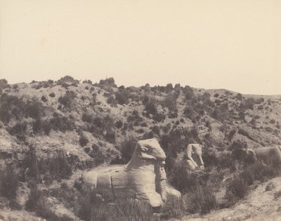 Karnak Tebas, Esfinge con cabeza humana y cabeza de carnero, en Y, 1851-52, impreso 1853-54 de Félix Teynard