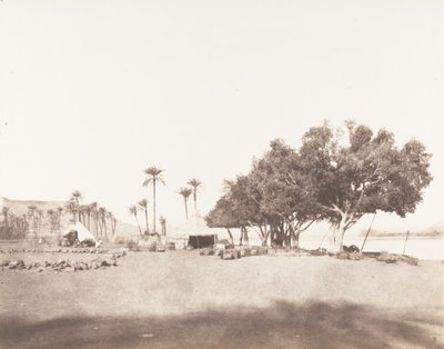 Korósko, sicomoros y campamento de una caravana para el Sennár, 1851-52, impreso 1853-54 de Félix Teynard