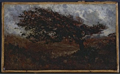 Le coup de vent, entre 1850 y 1860 (óleo sobre papel sobre lienzo) de Félix Ziem
