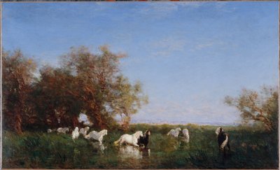 Caballos salvajes en la Camarga, entre 1890 y 1895 (óleo sobre lienzo) de Félix Ziem