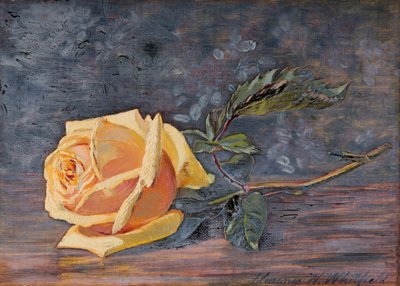 Rosa amarilla, 1887 de Florence Westwood Whitfield