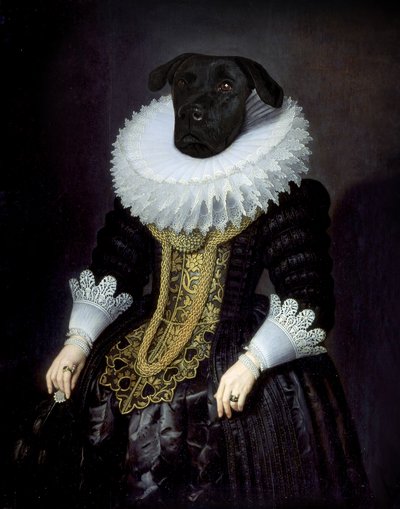 Anouk de Florent Bodart
