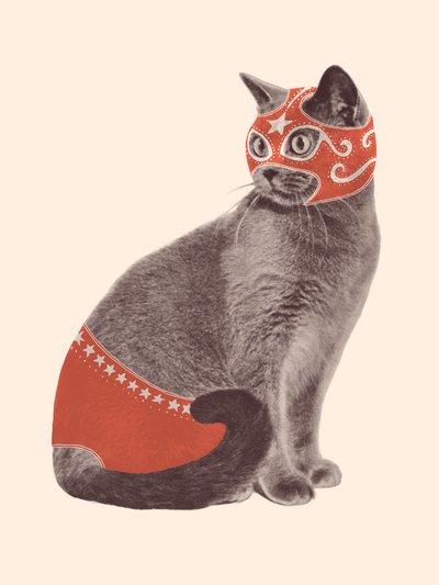 Luchador de gatos de Florent Bodart