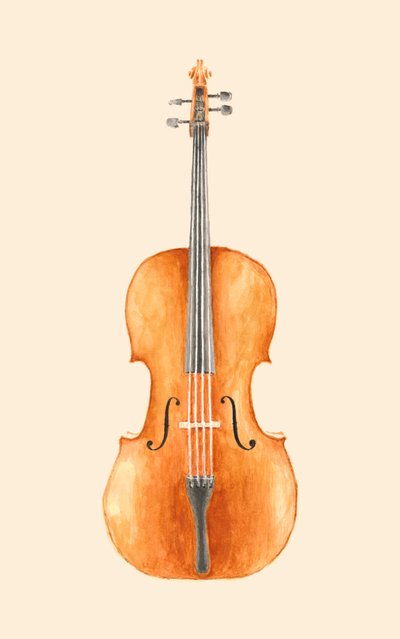 Violoncelo de Florent Bodart