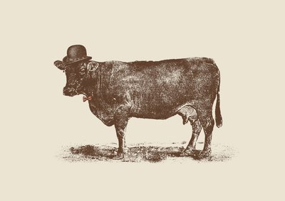 Nuez de Vaca de Florent Bodart