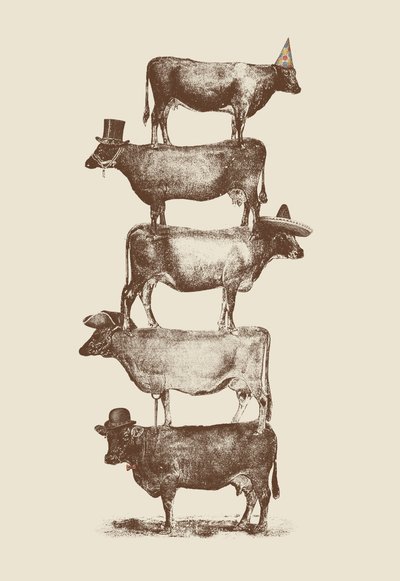 Nueces de vaca de Florent Bodart